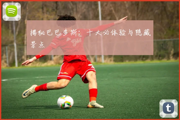 揭秘巴巴多斯:十大必体验与隐藏景点