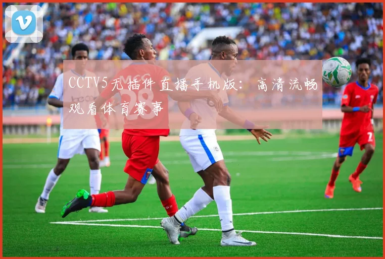 CCTV5无插件直播手机版：高清流畅观看体育赛事