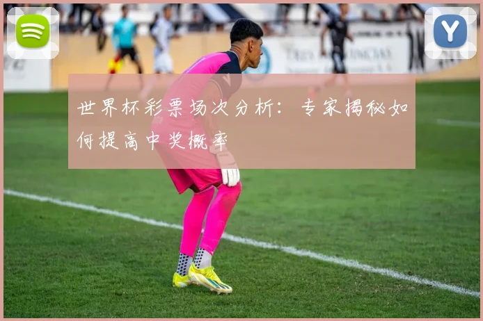 世界杯彩票场次分析：专家揭秘如何提高中奖概率