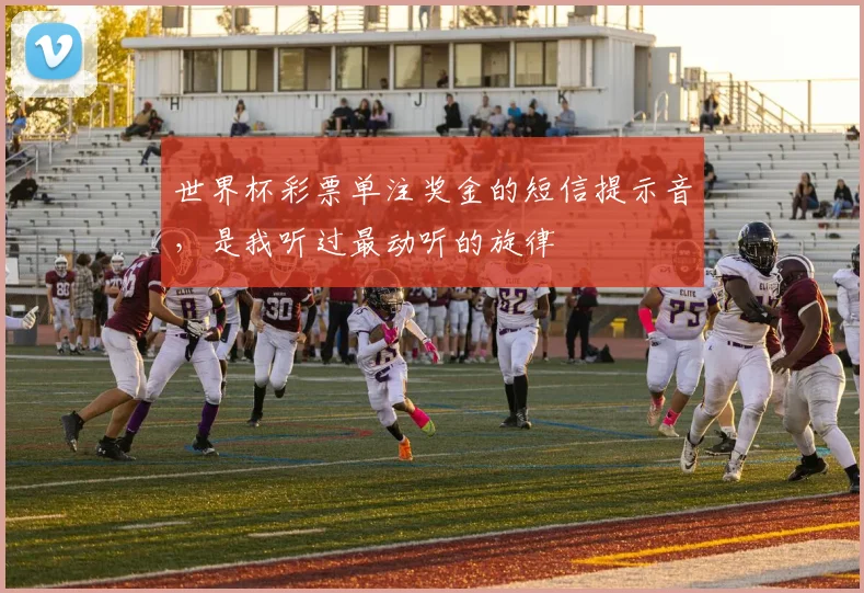 世界杯彩票单注奖金的短信提示音，是我听过最动听的旋律