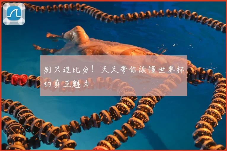 别只追比分！天天带你读懂世界杯的真正魅力