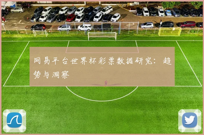 网易平台世界杯彩票数据研究:趋势与洞察