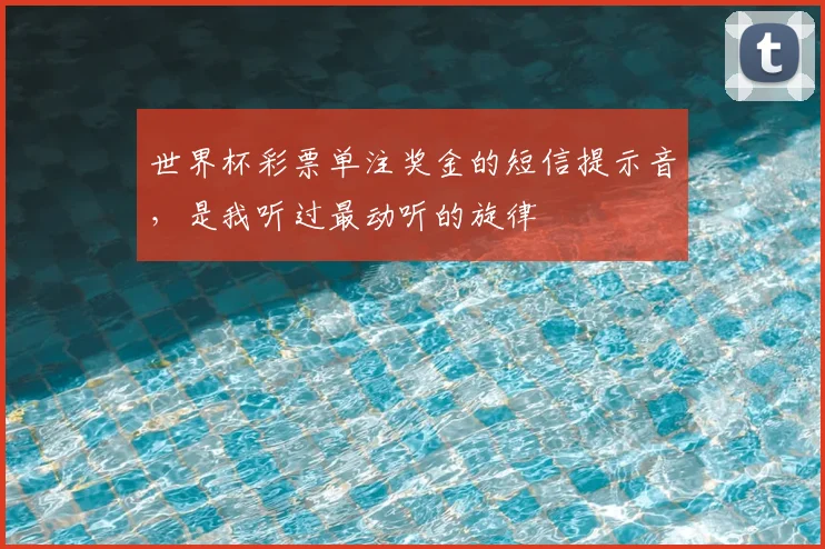 世界杯彩票单注奖金的短信提示音，是我听过最动听的旋律