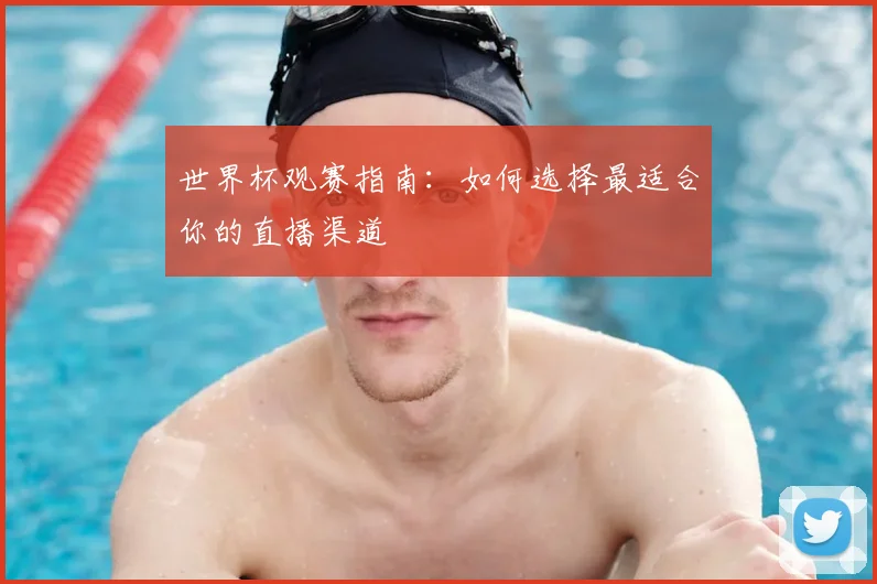 世界杯观赛指南：如何选择最适合你的直播渠道