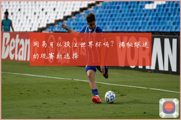 网易可以投注世界杯吗？揭秘球迷的观赛新选择